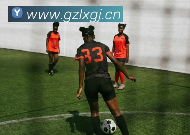 压球首页平台生态图